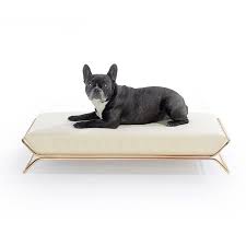 When choosing a bed for your dog, it is a good idea to look for a bed that will provide your dog comfort not only are these materials highly chewable, they are also not built to withstand the chewing. 10 Best Chew Proof Dog Bed For Heavy Chewer Pets 2021