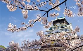 Please contact us if you want to publish an osaka castle wallpaper on our site. Osaka Castle Park Wallpaper Travel And World Wallpaper Better