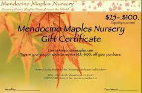 maple tree gift certificates