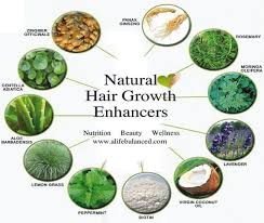 natural herbs for healthy hair