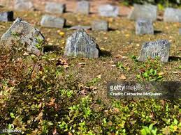 https://www.gettyimages.com/photos/dog-cemetery gambar png