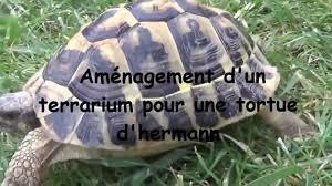 terrarium pour tortue d hermann