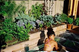 Herb Garden Design Ideas And Growing