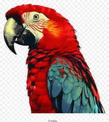 free transpa parrot png
