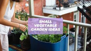 16 Small Vegetable Garden Ideas For