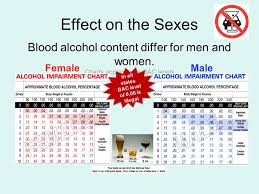 Dangers Of Alcohol And Driving Ppt Video Online Download