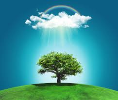 Что такое Ту би-Шват?