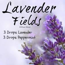 lavender fields diffuser blend with peppermint essential oil