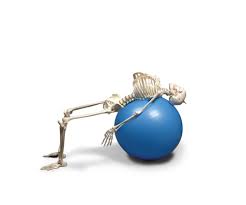 Flexible Physiotherapy Skeleton Model