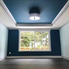 Ceiling Color Paint Ceiling Paint