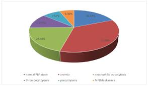 Pie Chart Showing Overall Percentage Of Various Type Of