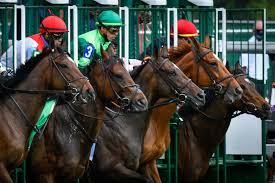 The 2021 kentucky derby is the 147th renewal of the greatest two minutes in sports. Ddmnqzudqc8jpm