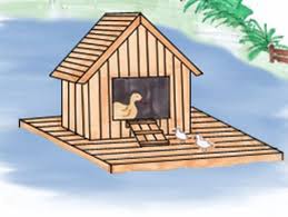 How To Build A Floating Duck House