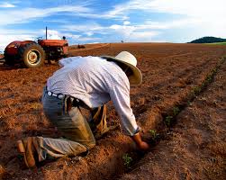 Image result for pictures of farmer sowing seed