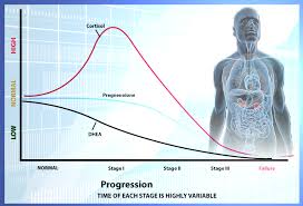 10 Tips To Boost Dhea Levels For Healthy Skin And Hormones