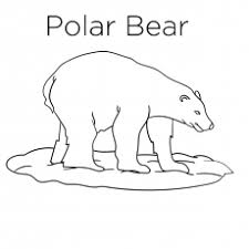 Please share cartoon bear coloring pages with pinterest or other social media, if you awareness with this wallpapers. Top 10 Free Printable Polar Bear Coloring Pages Online