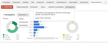 Adwords New Demographics Charts Offer Visual Insights On
