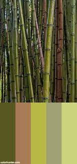 Bamboo Color Palette Green Colour