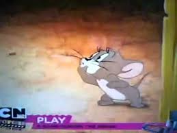 tom and jerry cartoon latest of