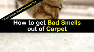bad smells and odors out of carpet