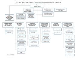 Organizational Chart Texas A M University Kingsville