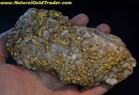 lake hav arizona gold nugget specimen