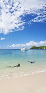 Lucia hotel deals & offers are here. Beach St Lucia St Lucia Beach St Lucia St Lucia Caribbean