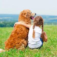 the 5 best dog breeds for autistic children