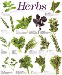 Herb Chart Garden Herbs Raised Herb Garden Medicinal Herbs
