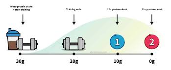 protein after your workout physiqonomics