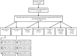 Flow Chart Of Patient Disposition Data On Creatinine
