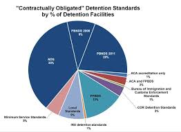 Ice Released Its Most Comprehensive Immigration Detention