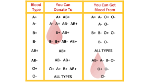 Basic Eligibility Guidelines For Blood Donation Securenow Blog