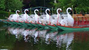 home swan boats