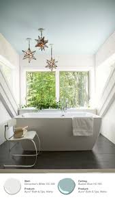 Choosing paint colors for the bathroom are tricky but with our tips about lighting and things to think about can help you better choose the perfect color. Bathroom Paint Color Ideas Inspiration Benjamin Moore Relaxing Bathroom Colors Bathroom Ceiling Paint Small Bathroom Paint