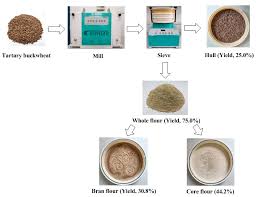 effects of tartary buckwheat bran flour