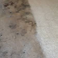 meridian mississippi carpet cleaning