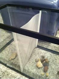 Ten gallon tank divided into 3 sections materials needed: Pin On Critter Care Tips N Whatnots