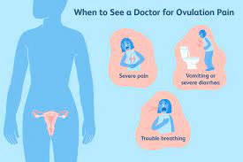 what does ovulation pain feel like