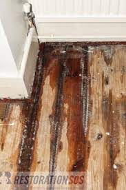 repair water damage in floors
