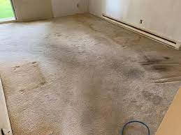carpet cleaning project photos master
