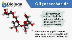 oligosaccharide definition and