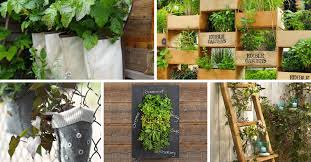 17 Vertical Garden Ideas That Ll