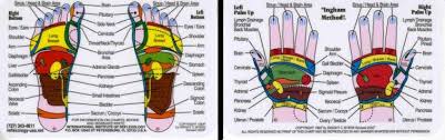 Hand And Foot Wallet Reflexology Chart Healthy Habits