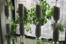 12 Mini Greenhouse Ideas For Your Home