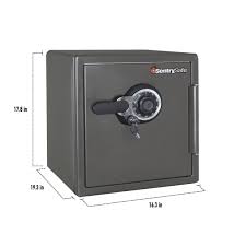 combination fire water safe sfw123dsb