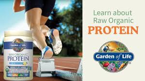 raw organic protein powder by garden of