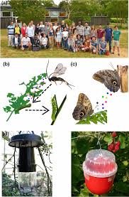 Fórum help forum fruit vs. Insect Chemical Ecology Chemically Mediated Interactions And Novel Applications In Agriculture Springerlink