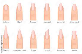 fashion nail shapes set kinds