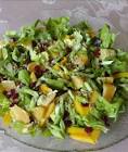 bibb greens topped with orange  dried cranberries and sunflower